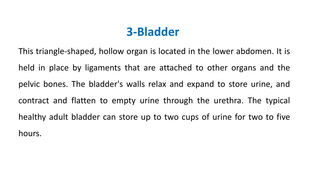 3 bladder