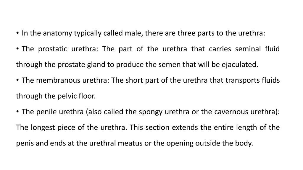 in the anatomy typically called male there