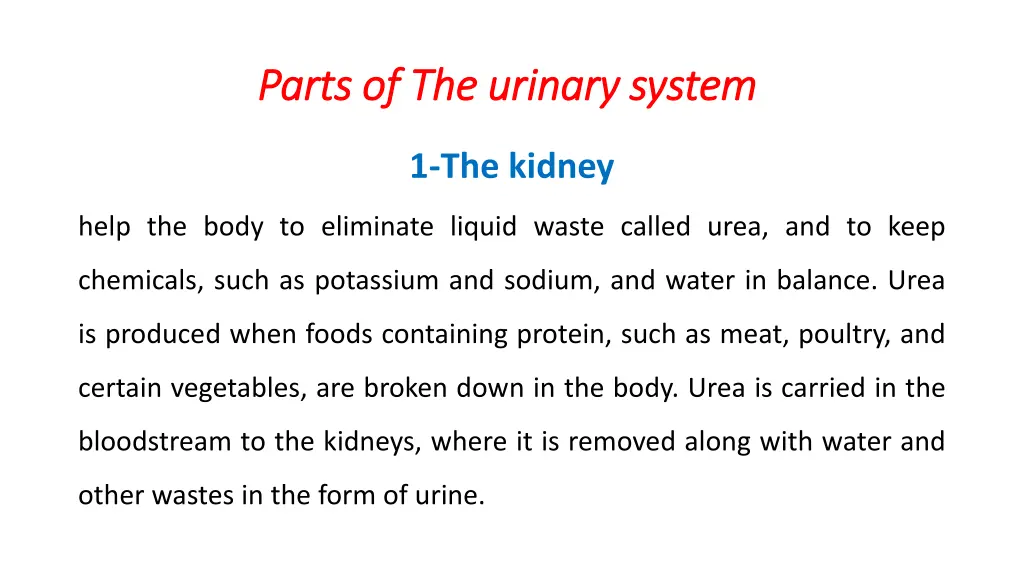parts of parts of the urinary system the urinary