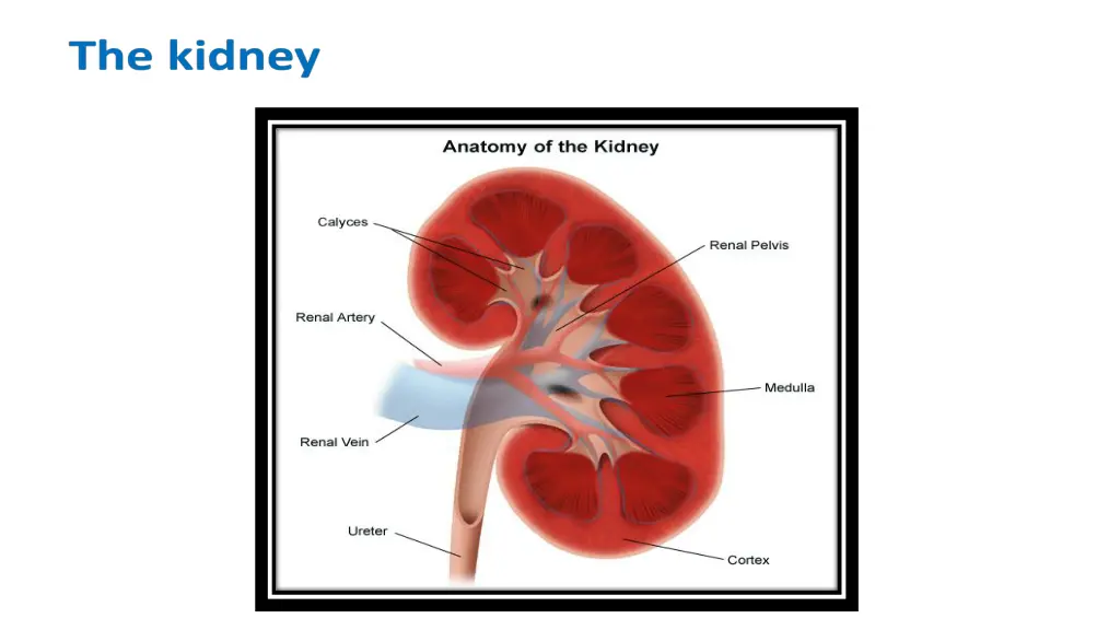 slide6
