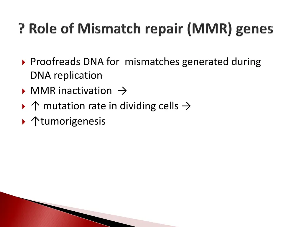 proofreads dna for mismatches generated during