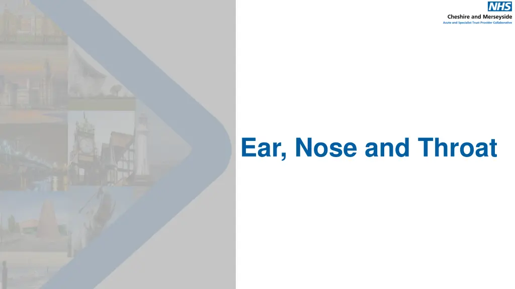 ear nose and throat