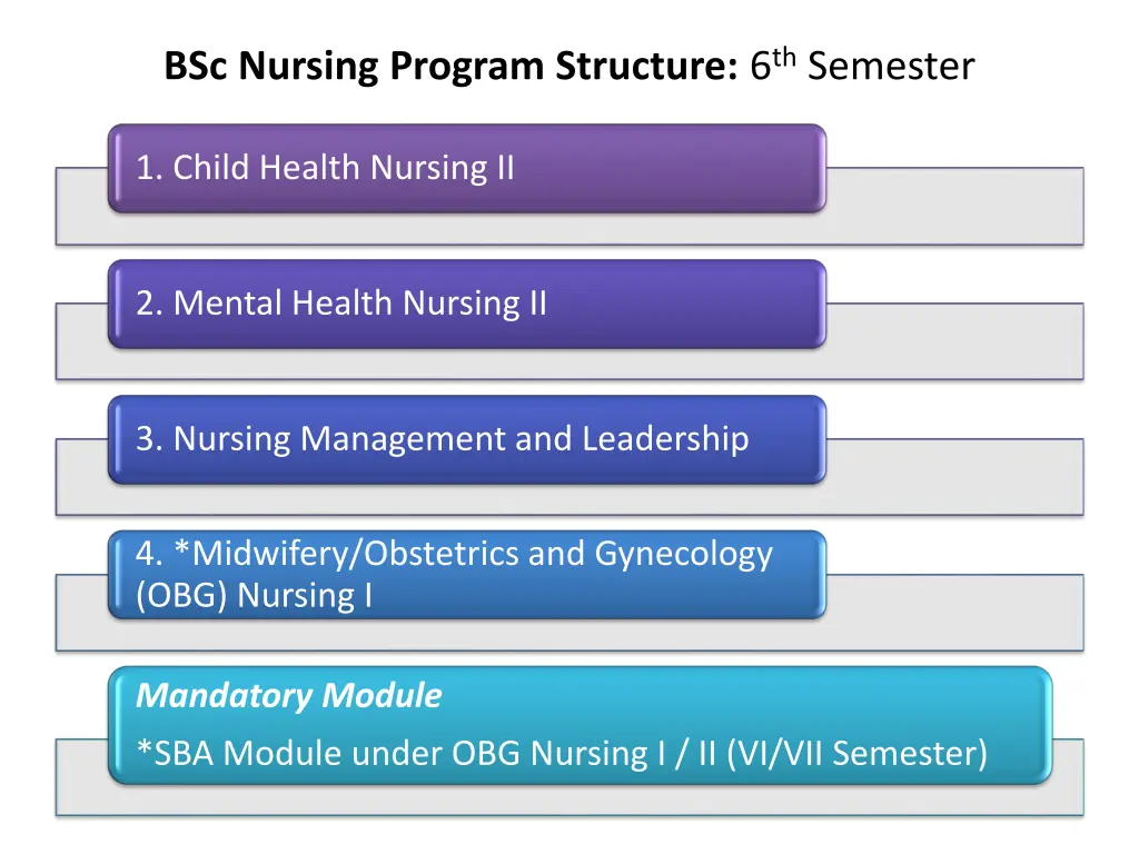 bsc nursing program structure 6 th semester