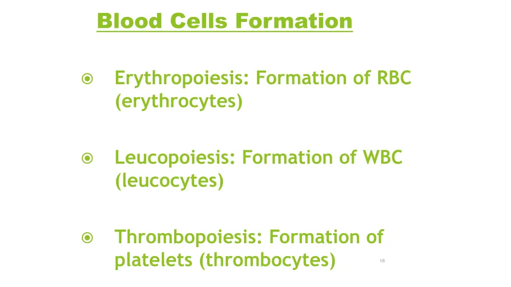 blood cells formation