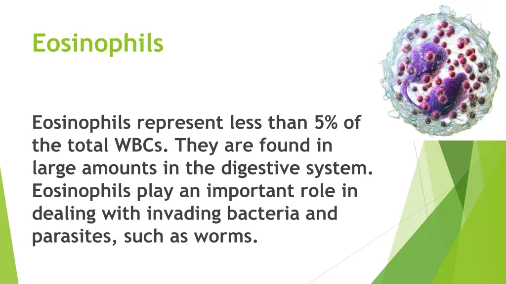 eosinophils