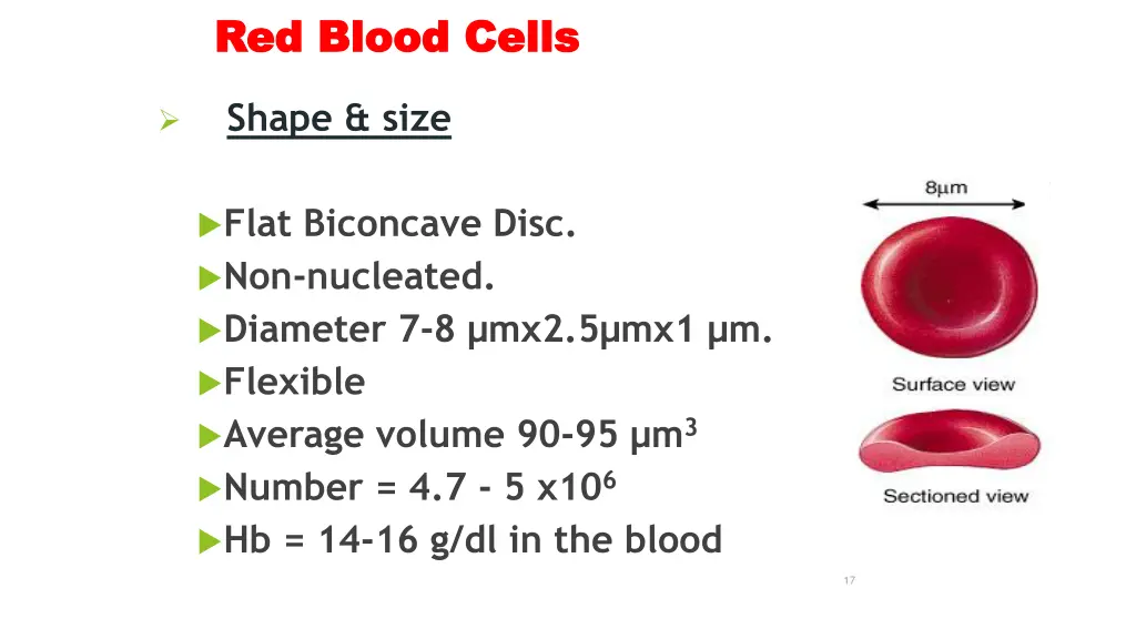 red blood cells red blood cells