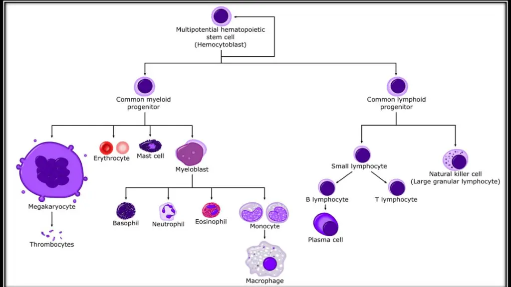 slide21