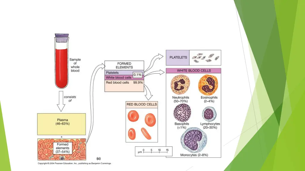 slide6