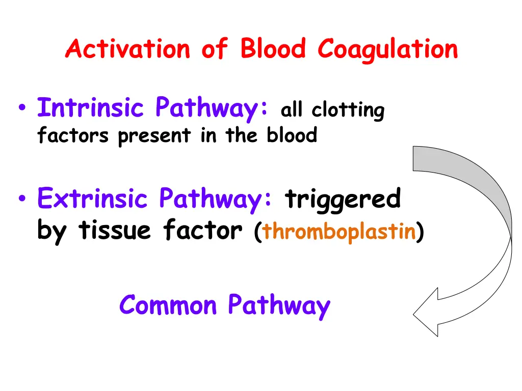activation of blood coagulation