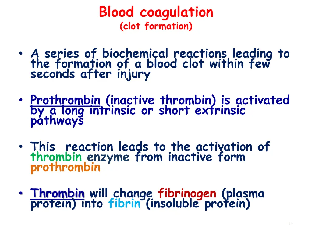 blood coagulation clot formation