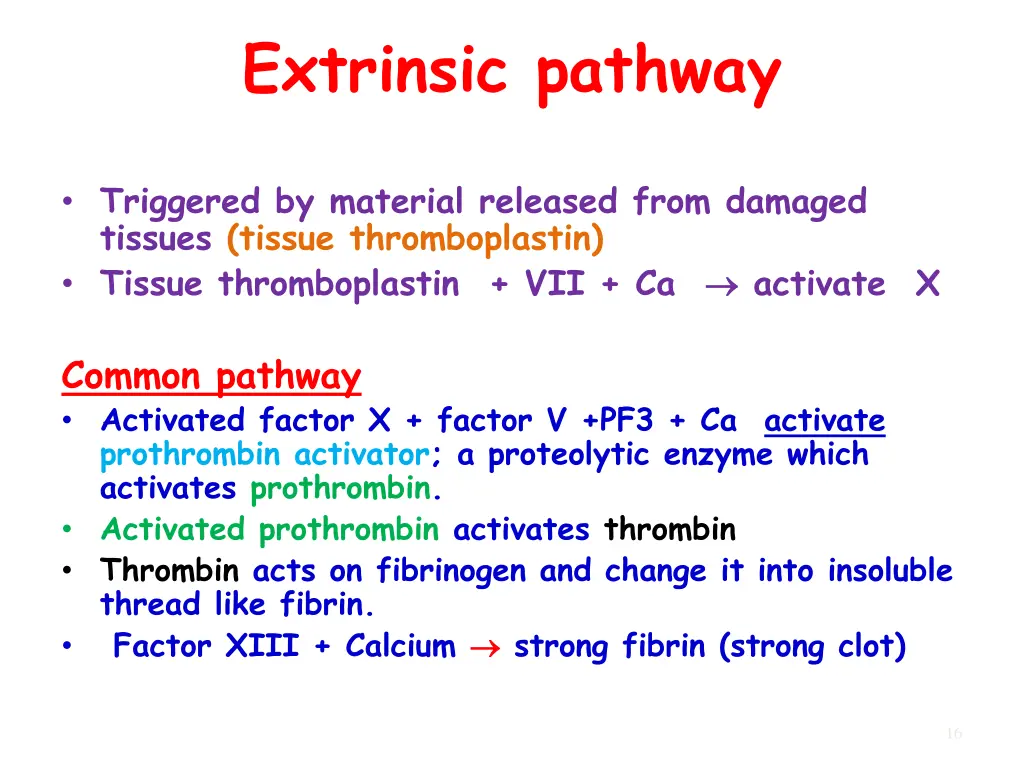 extrinsic pathway