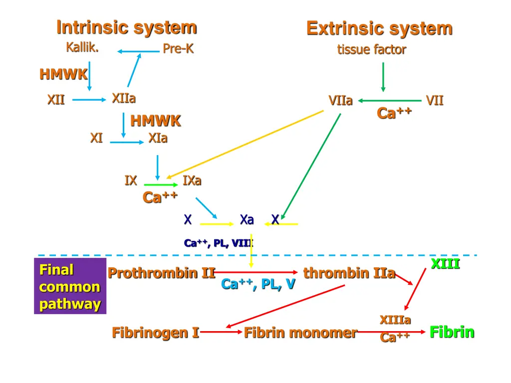 intrinsic system kallik