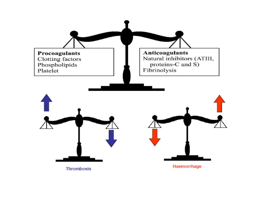 slide4