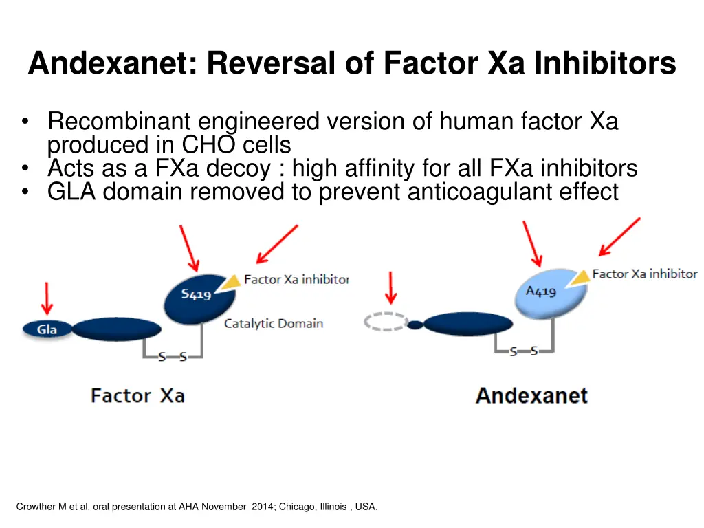andexanet reversal of factor xa inhibitors