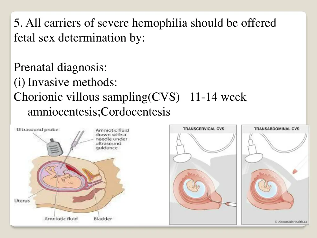 5 all carriers of severe hemophilia should
