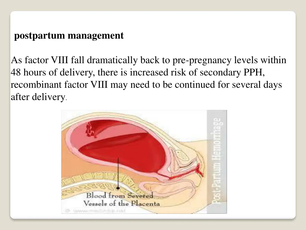 postpartum management