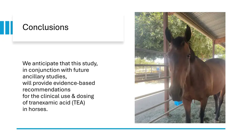 conclusions