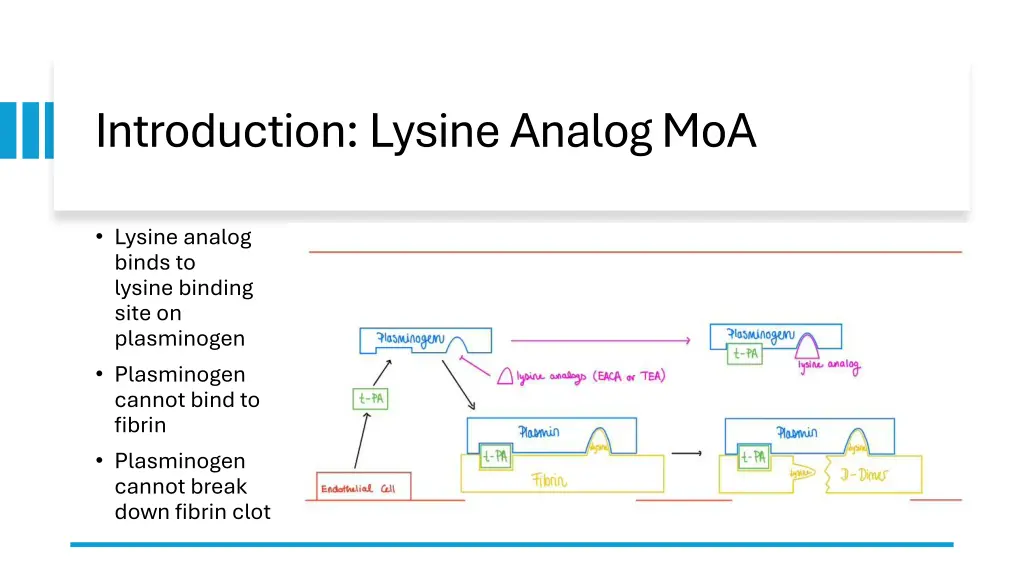 introduction lysine analog moa