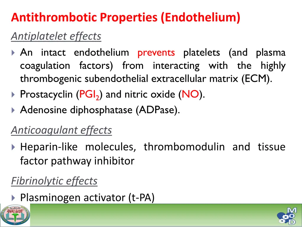 antithrombotic properties endothelium