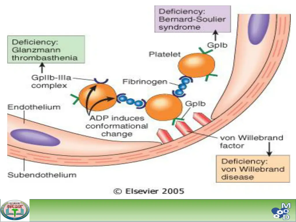 slide19