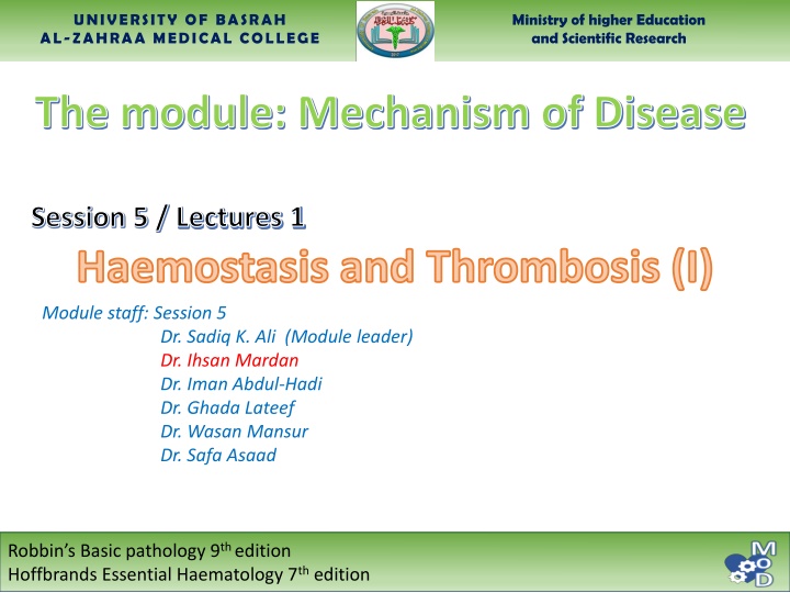 university of basrah al zahraa medical college