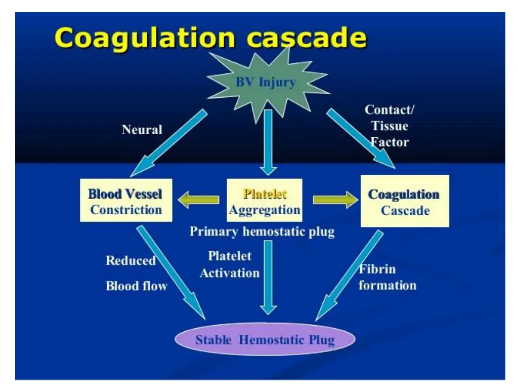 slide3