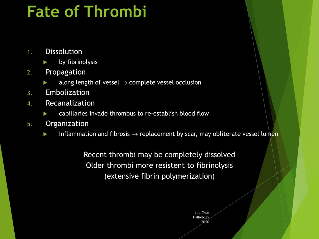 fate of thrombi