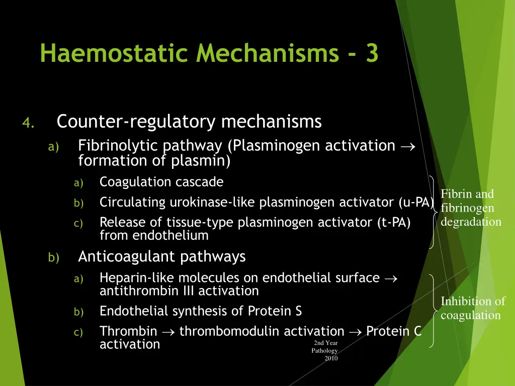haemostatic mechanisms 3