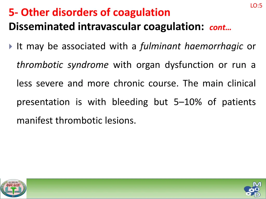 slide17