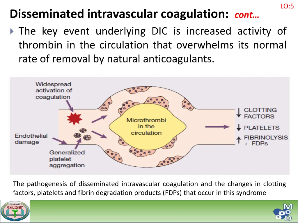 slide18