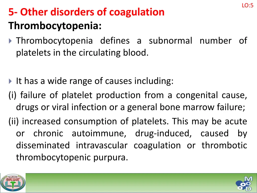 slide19