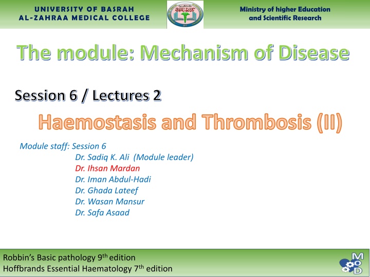 university of basrah al zahraa medical college