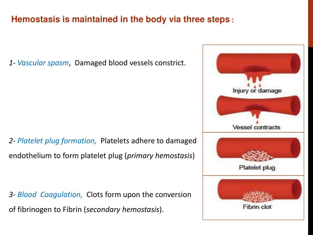 hemostasis is maintained in the body via three