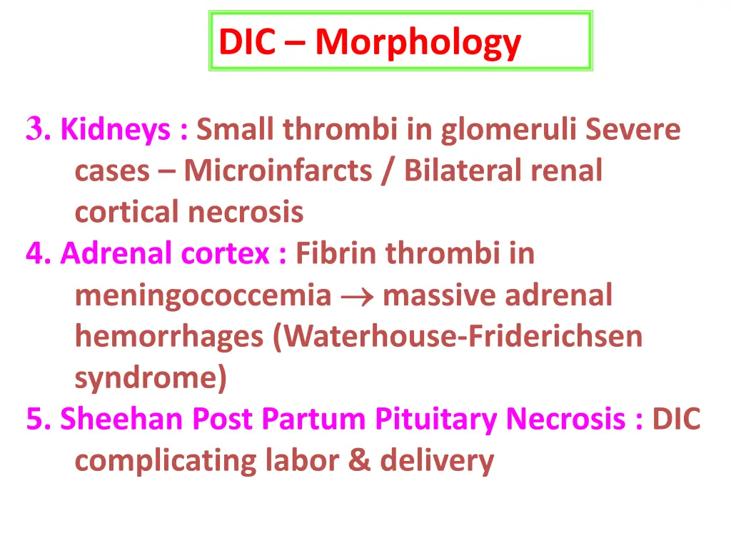 dic morphology 1