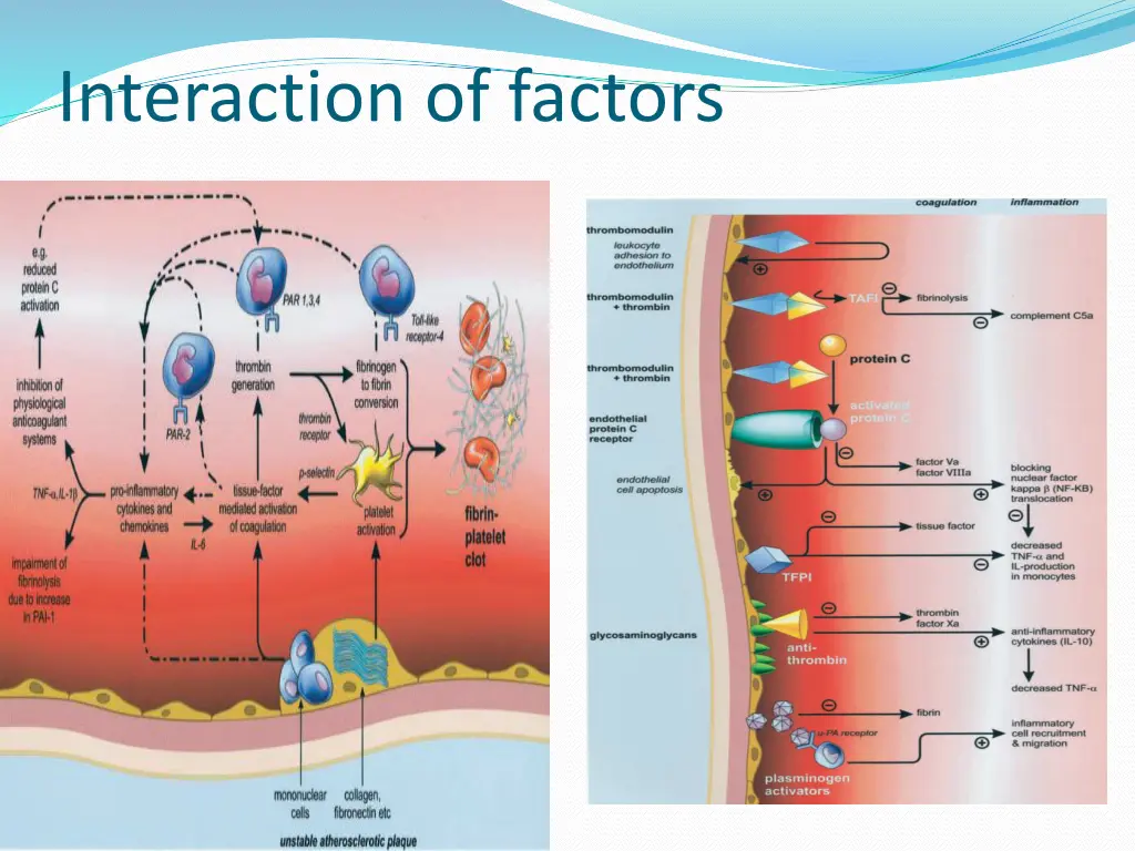interaction of factors