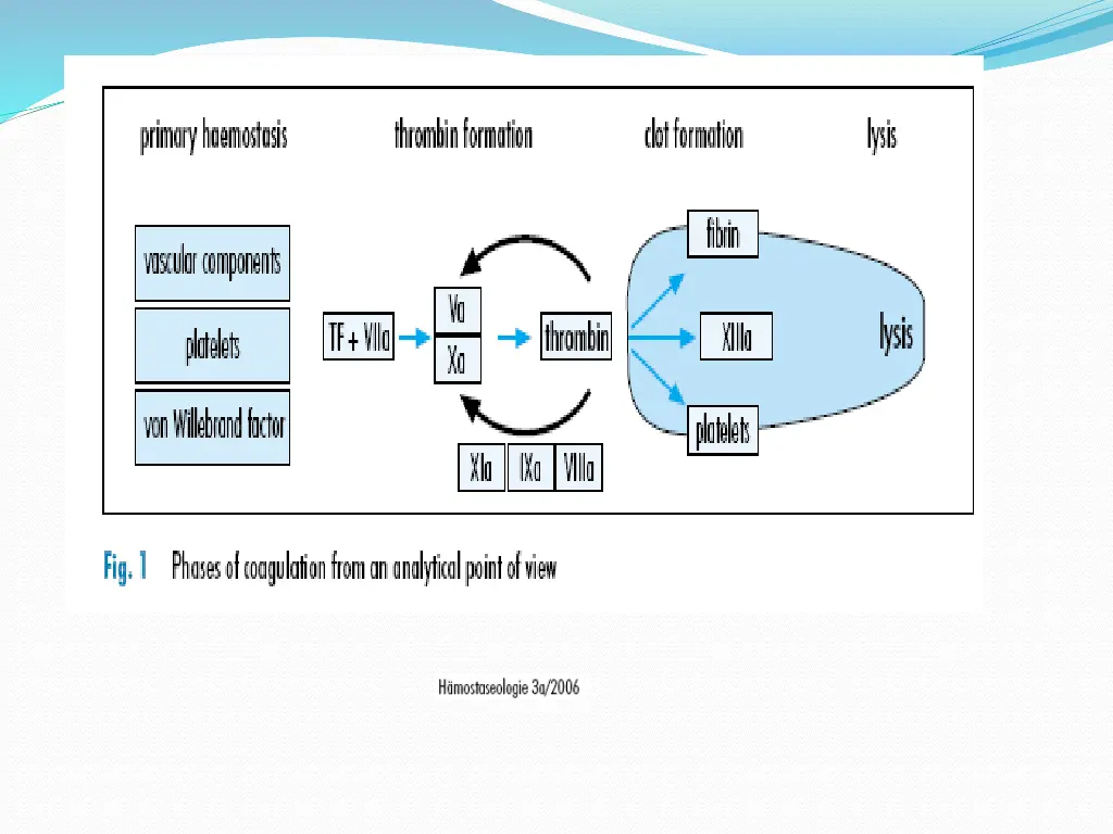 slide19