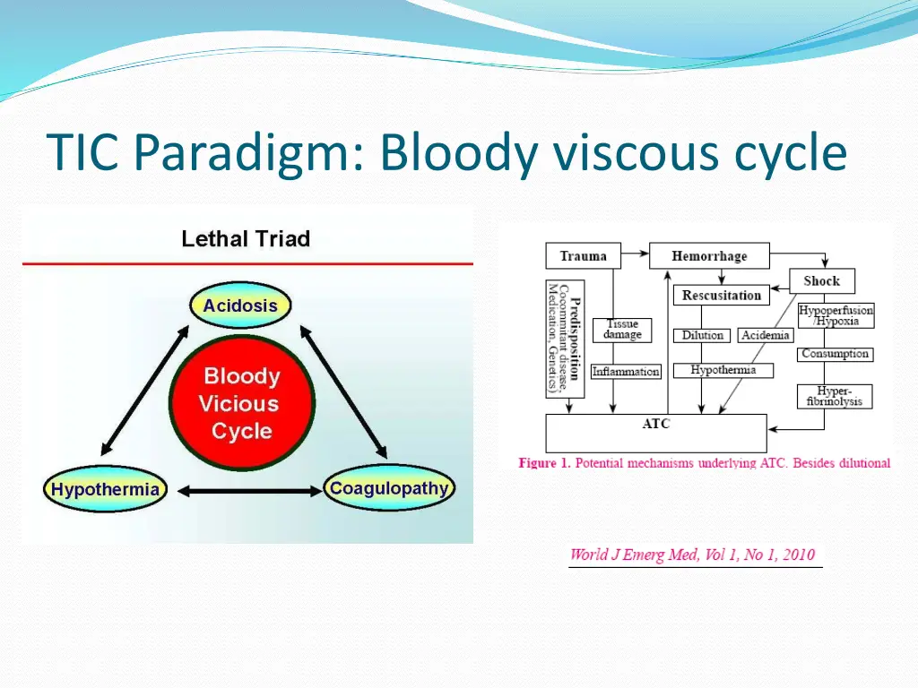 tic paradigm bloody viscous cycle
