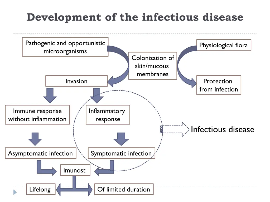 development of the infectious disease