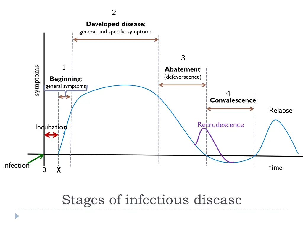 slide7
