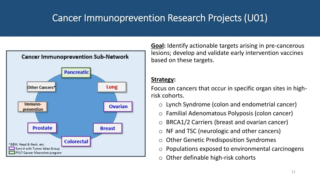 cancer immunoprevention research projects