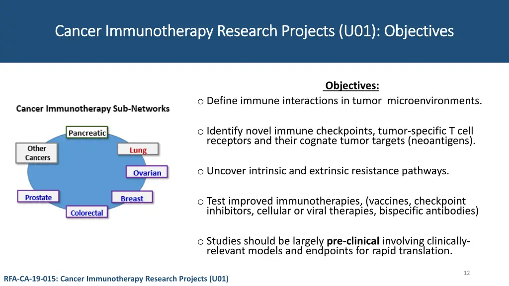 cancer immunotherapy research projects