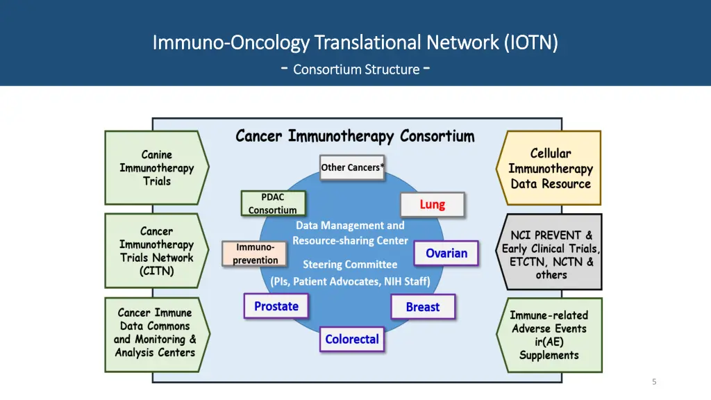 immuno immuno oncology translational network iotn 1
