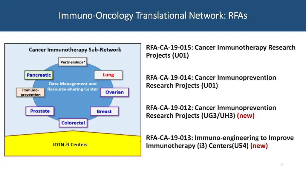 immuno immuno oncology translational network rfas