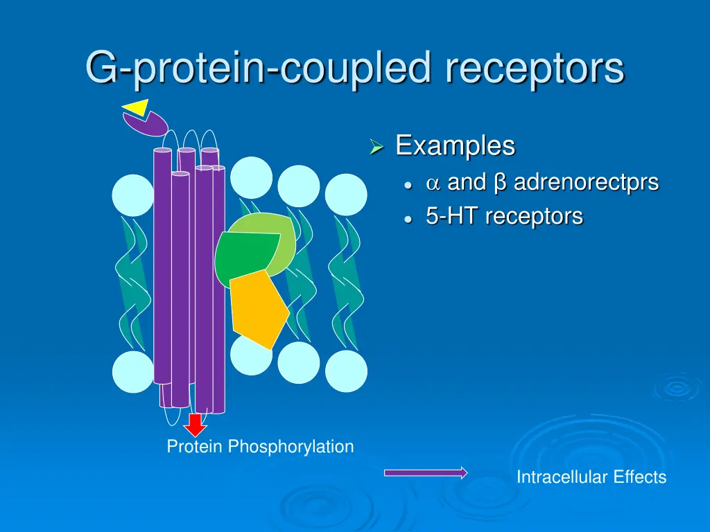 g protein coupled receptors