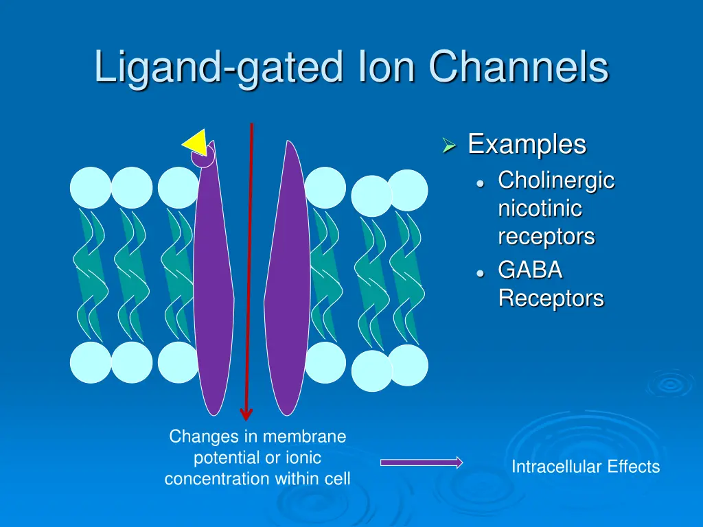 ligand gated ion channels