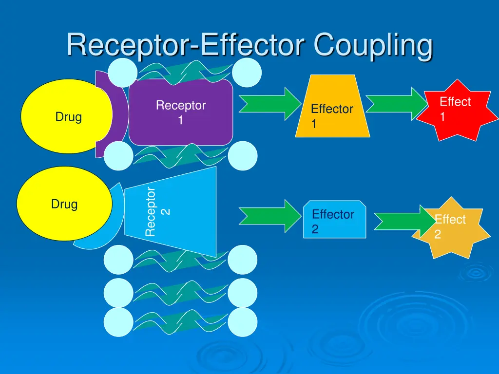 receptor effector coupling 1