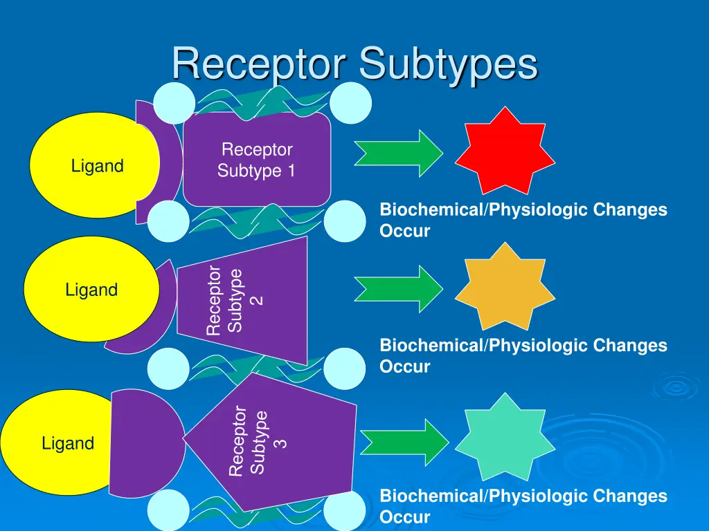 receptor subtypes 1
