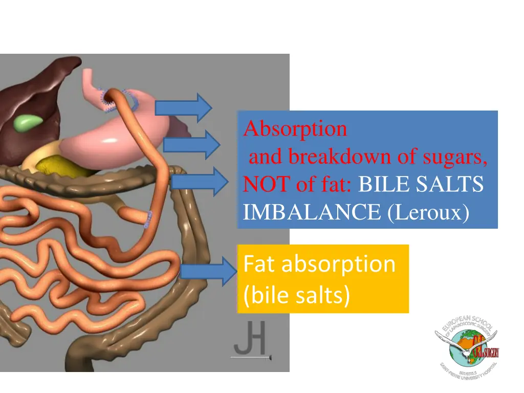 absorption and breakdown of sugars 1
