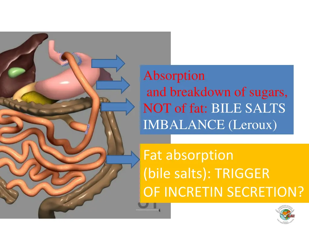 absorption and breakdown of sugars 2