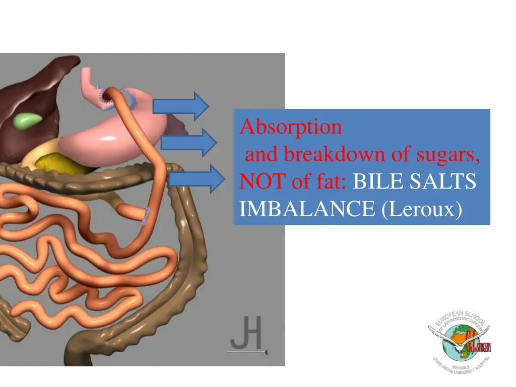 absorption and breakdown of sugars